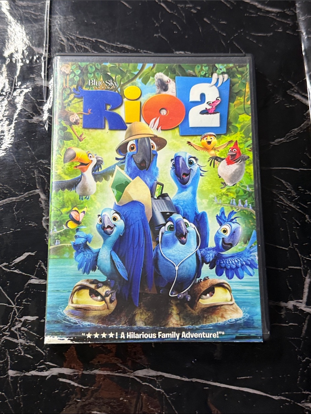 Rio two movie DVD